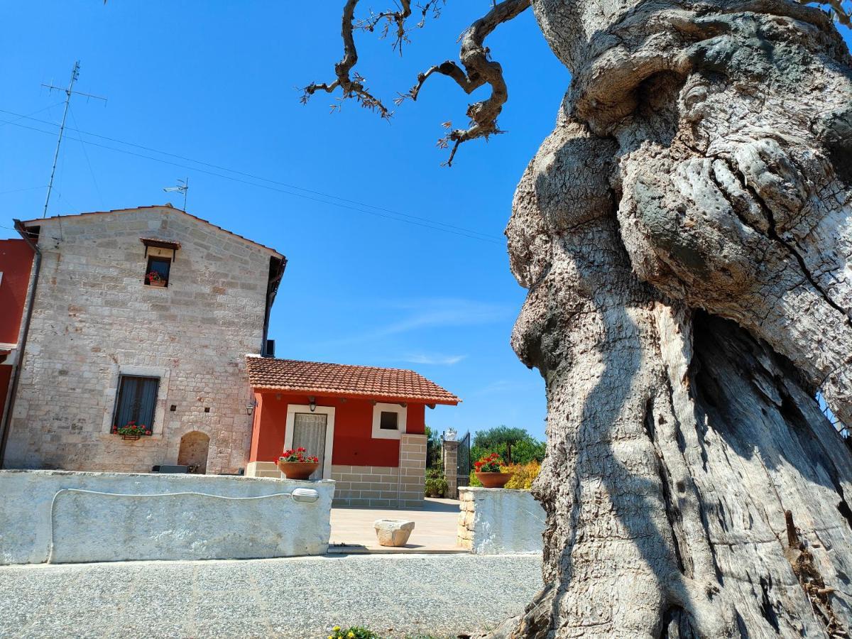 Bed and Breakfast Donna Isabella Conversano Exterior foto